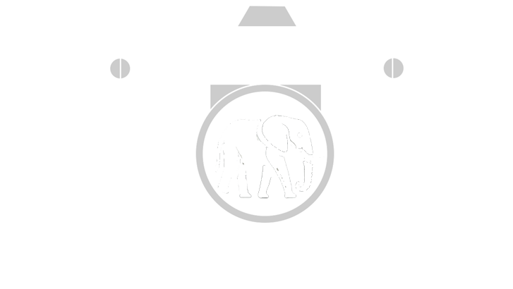 Logo Marc Wenger Wildlifeart